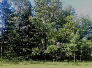 Opal Lake Rd, Gaylord, MI 49735