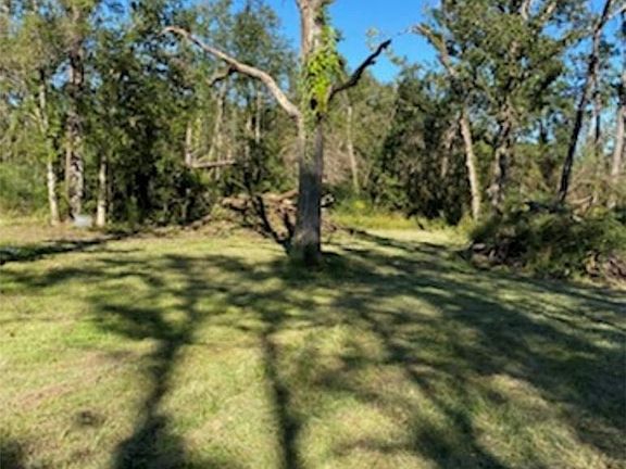 4th image of 1096 Louisiana Hwy #389