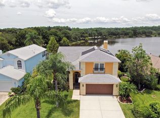11517 Whispering Hollow Dr, Tampa, FL 33635
