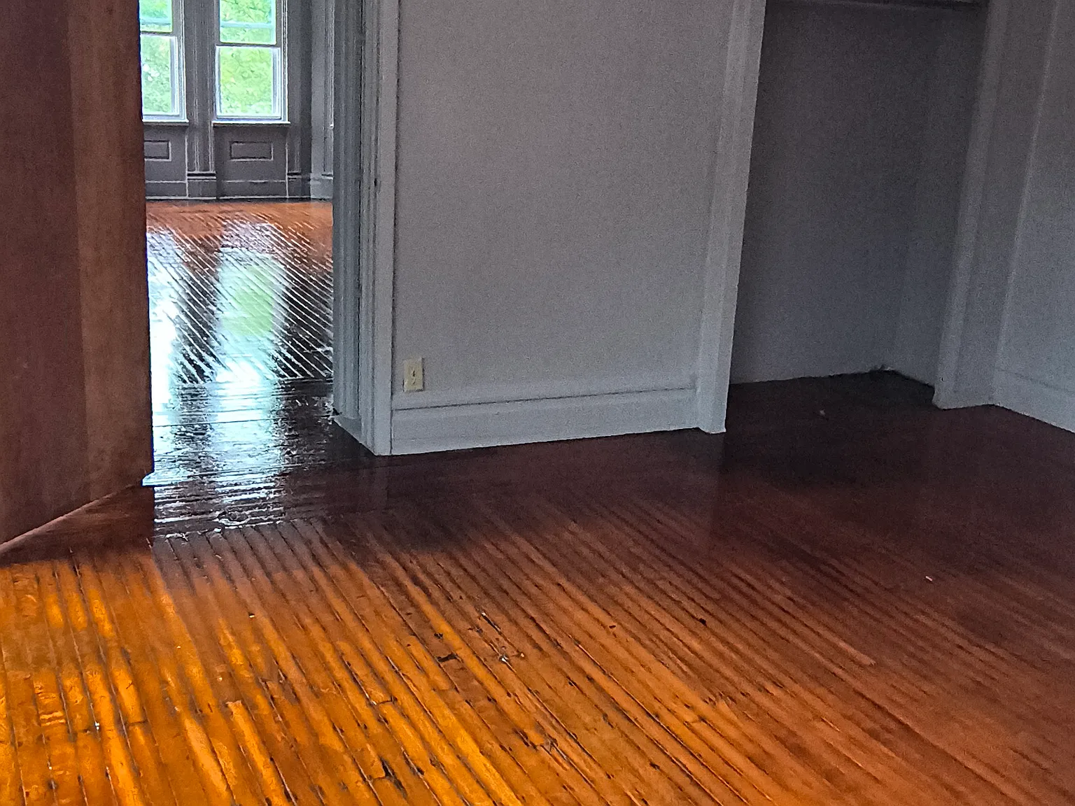 1 bed, 900 sqft, $1,450 — Photo 4