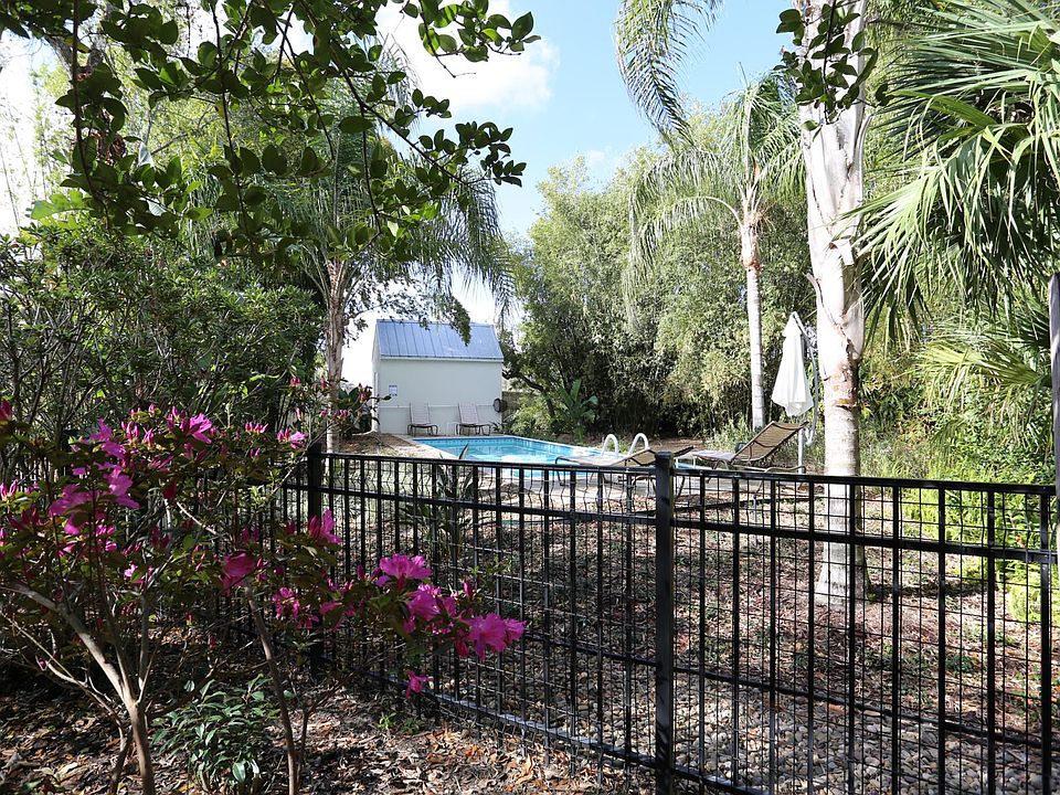 Backyard toward pool