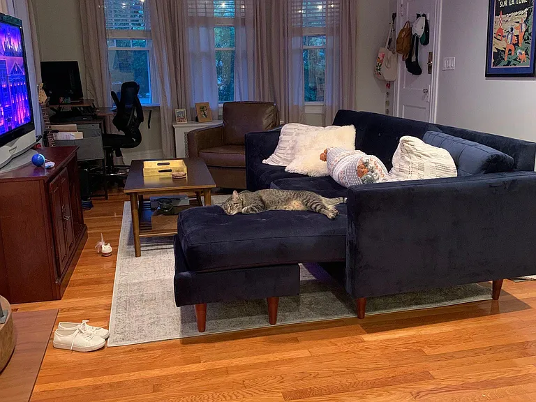 37 Ogden St #1 — Photo 17