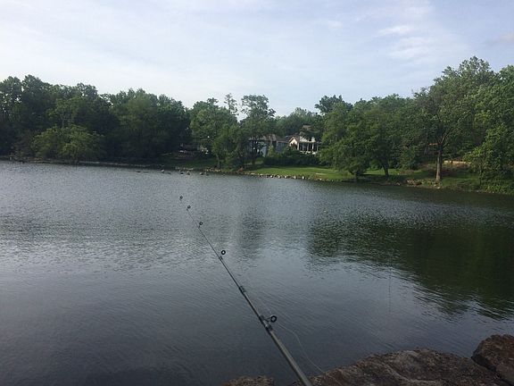 Fishing with a view