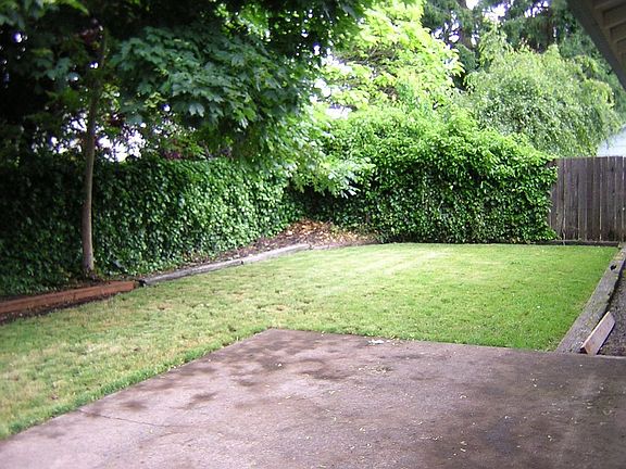 back yard in May, 2006