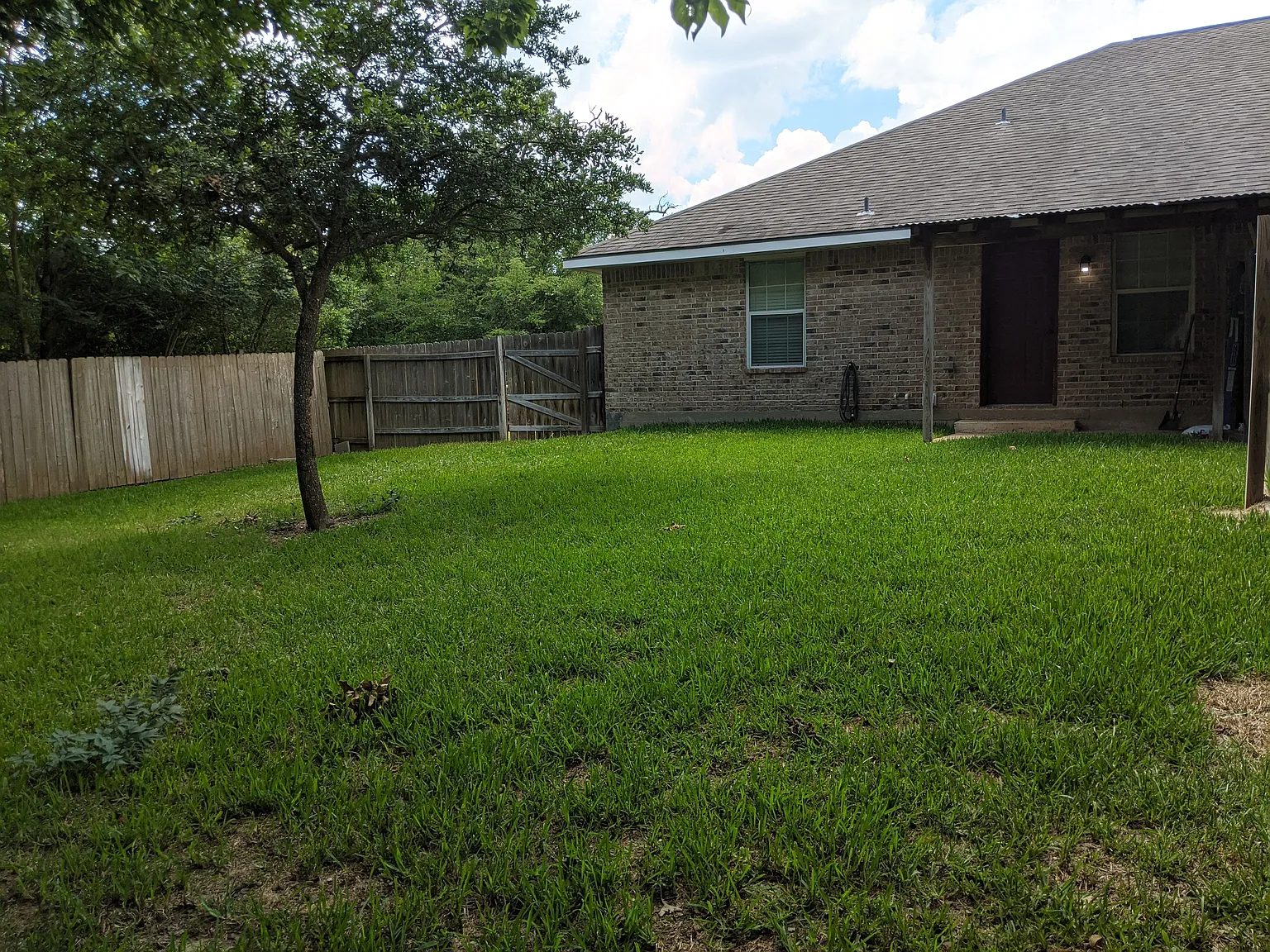 3559 Paloma Ridge Dr Available Oct 1 2026 — Photo 3