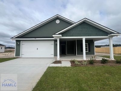146 Freshwater Ln, Ludowici, GA, 31316