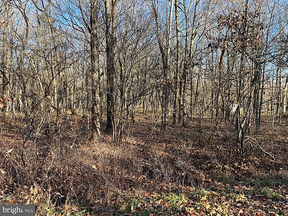 2nd image of LOT 261 Sawmill Ln