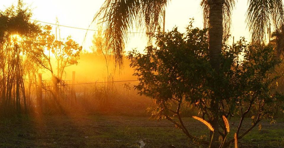 Sunsets at the ranch.