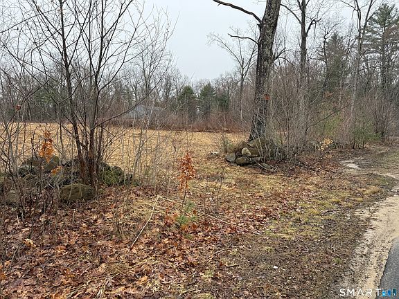5th image of 262 Hydeville Road