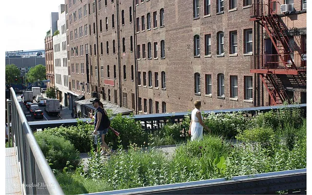 Rented by Douglas Elliman | media 29