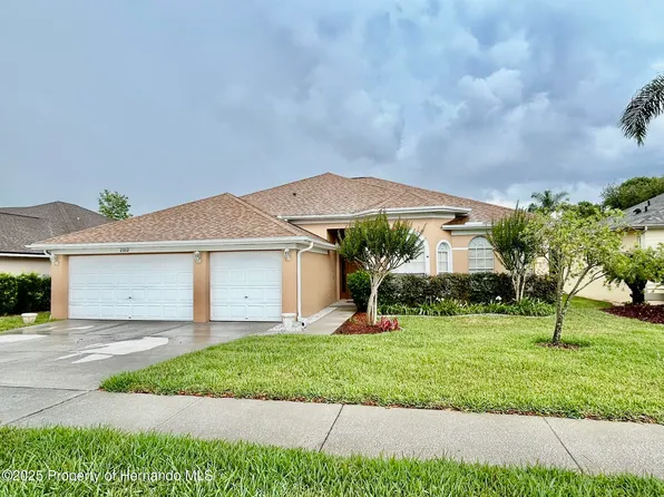 23112 Emerson Way, Land O Lakes, FL 34639