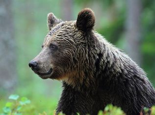 438 S Mountain Rd, Gilboa, NY 12076