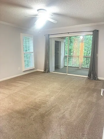 3401 Trade Winds Dr #1C — Photo 9