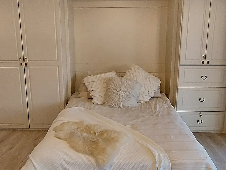 Queen Murphy bed in the Great Room