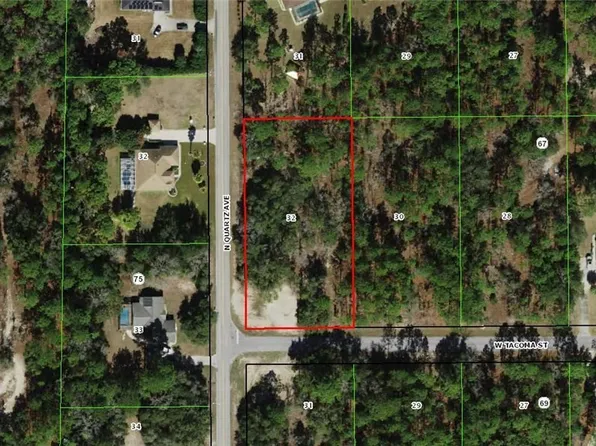 1935 W Tacoma St, Hernando, FL 34442