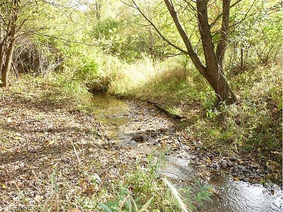5th image of 7170 Horns Hill Rd