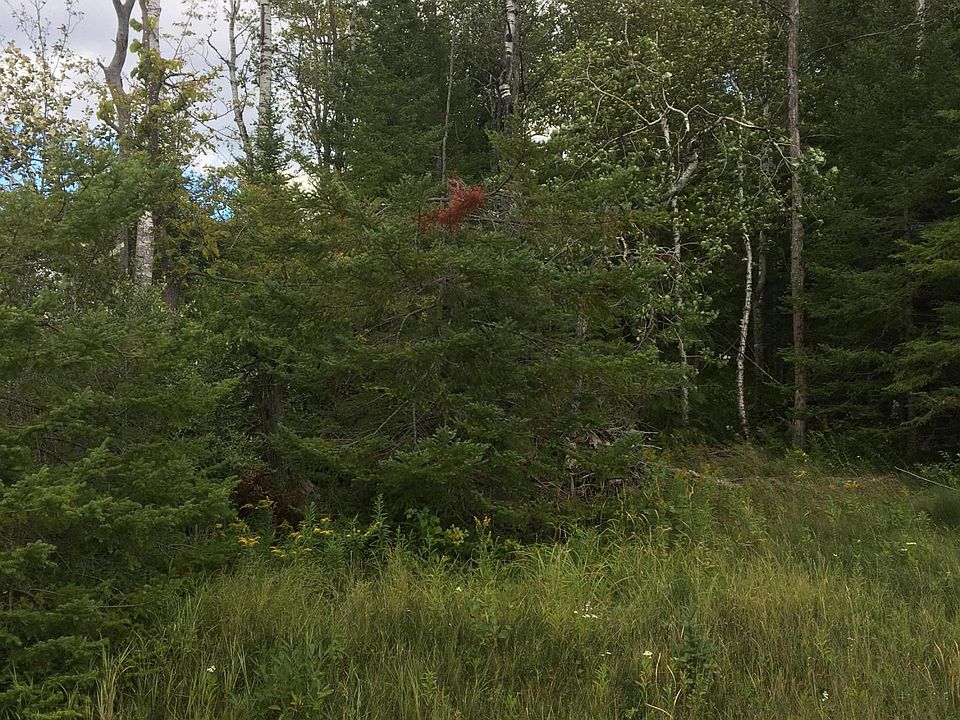 2nd image of 9339 Clewley Rd