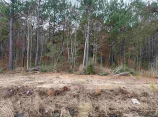 Highway 383 LOT 10, Iowa, LA 70647