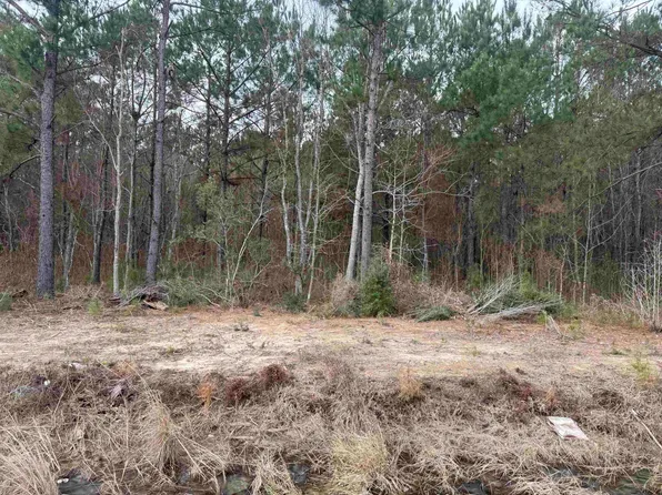 Highway 383 Lot 2, Iowa, LA 70647