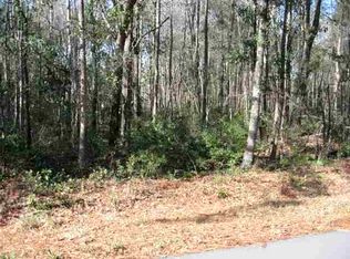 Tbd Pond Street, georgetown, SC 29440