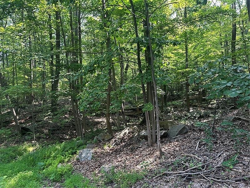 1st image of 934 Skislope Rd