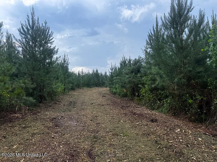 2nd image of State Highway 540
