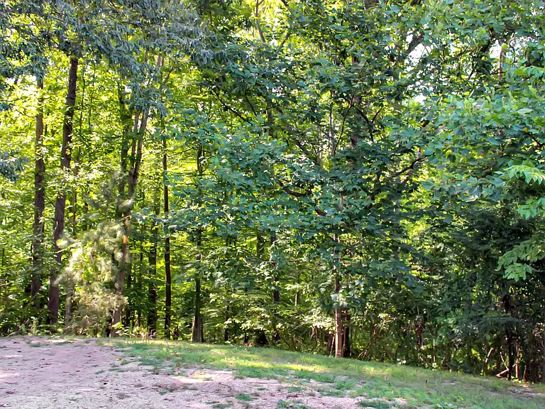 4652 Three Notch D Rd — Photo 15