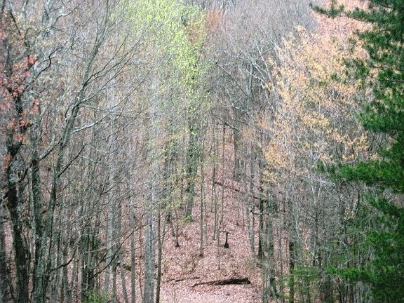 3rd image of Lake Overlook Dr