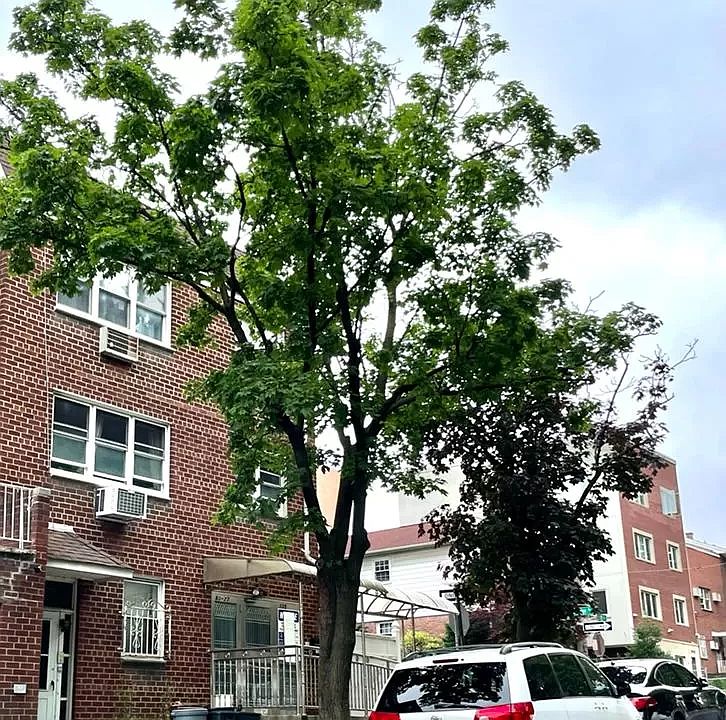 1st image of 80-27 135th St #1
