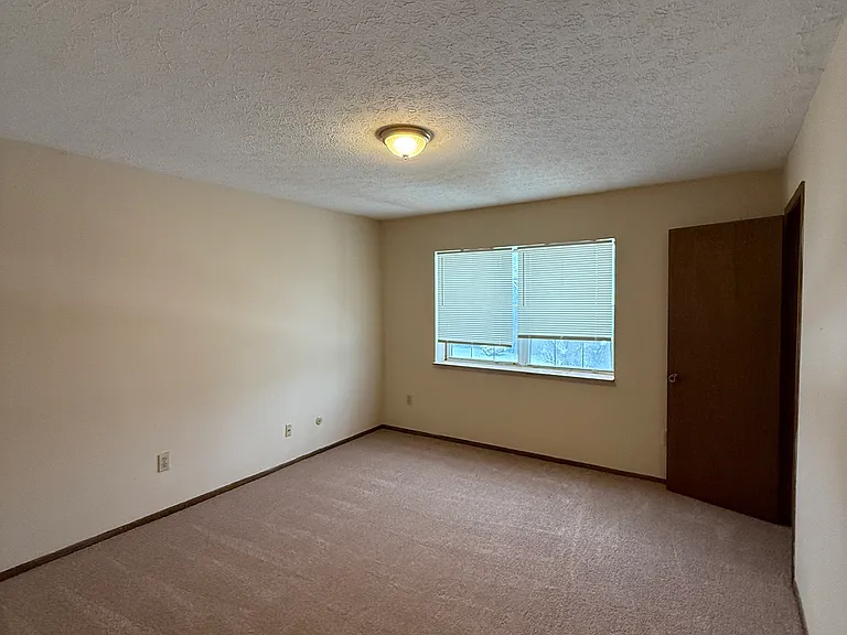 7731 Shirlington Dr — Photo 4