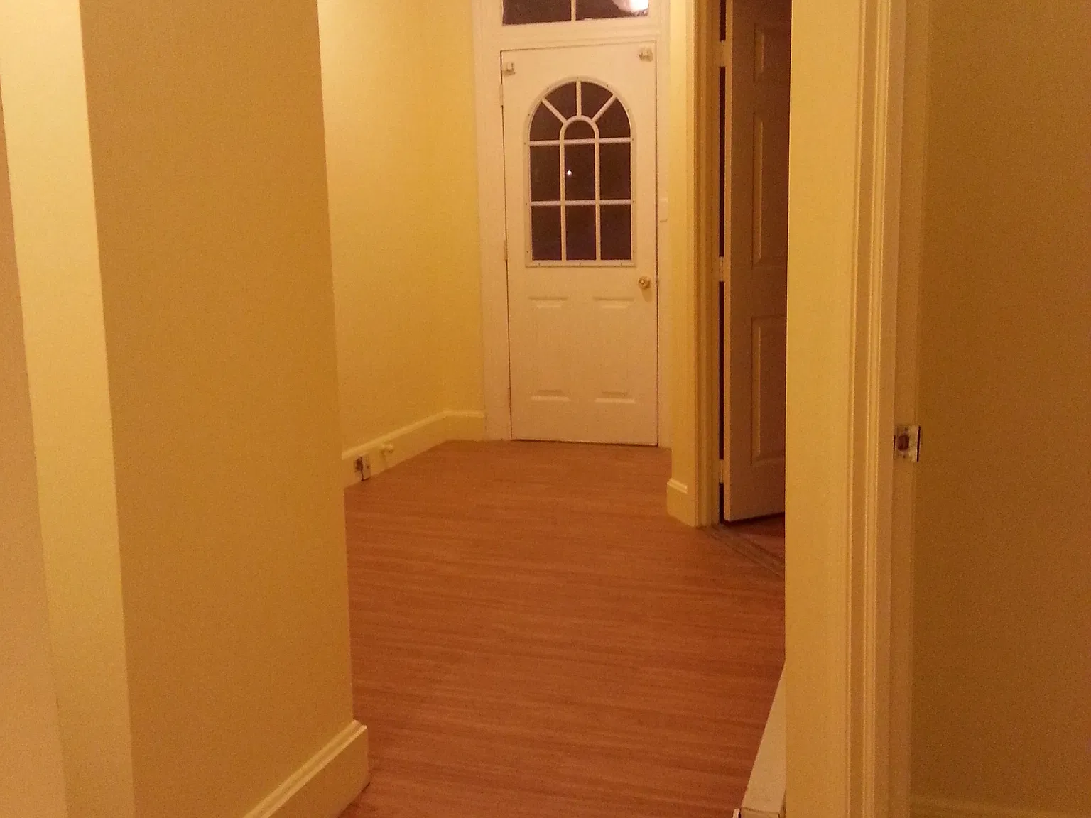 2 bed, 800 sqft, $1,250 — Photo 2