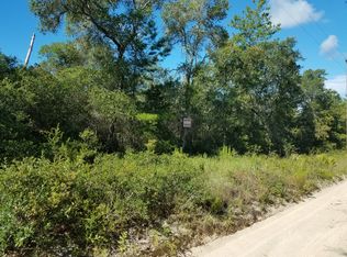 NE 238th Pl, Fort McCoy, FL 32134