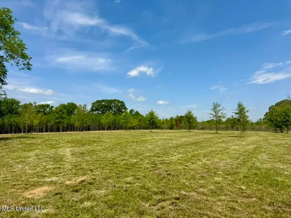 4 Windermere Blvd, Canton, MS 39046