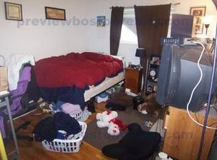 19 Caltha Rd #LFC2, Brighton, MA 02135