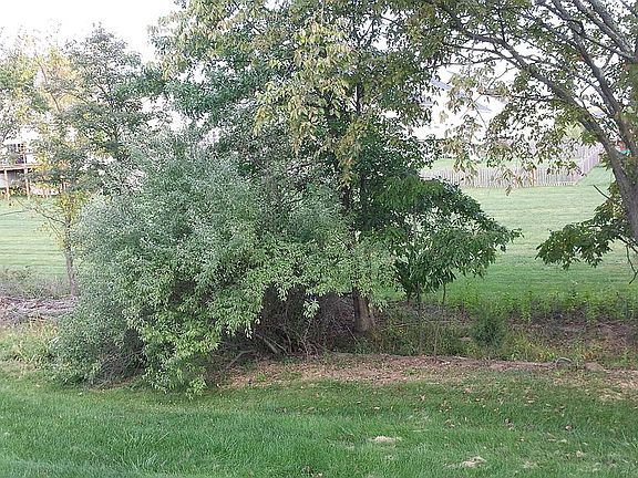 5th image of 21941 Providence Forge Dr
