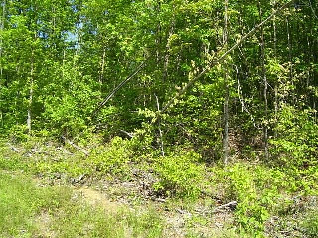 1st image of LOT 320 Hilltop Ln