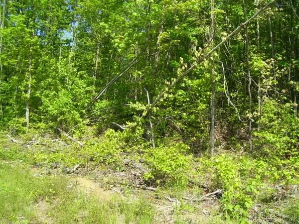 LOT 320 Hilltop Ln, Wilder, TN 38589