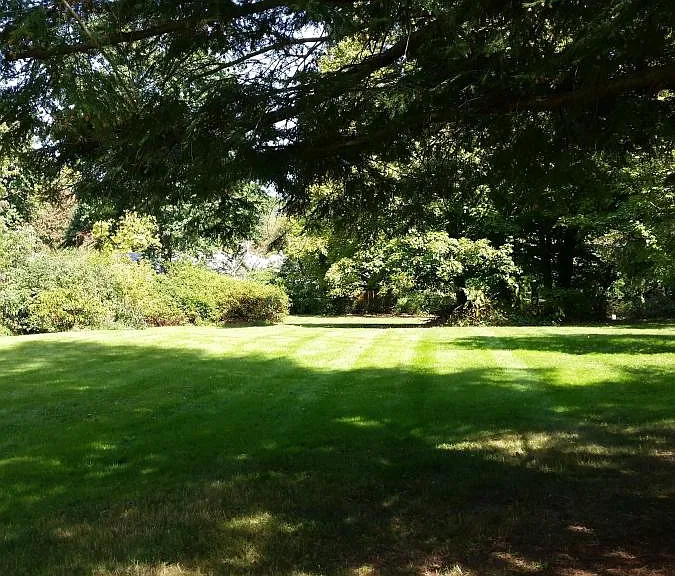 Side Yard