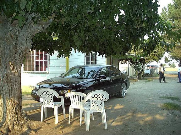 Rear view of driveway