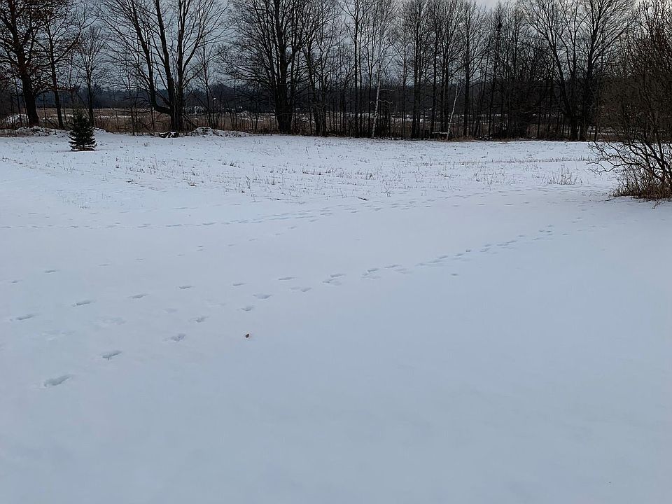 8900 W Grass Lake Rd, Lake, MI 48632 Zillow