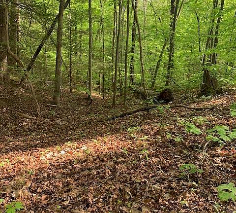 5th image of 0 Doe View Dr