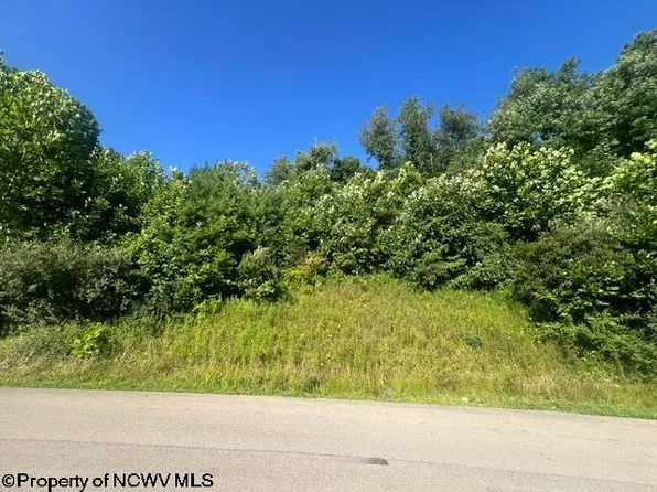 3 & 4 David Daniels Dr, Fairmont, WV 26554