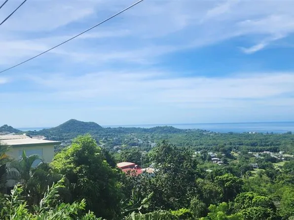 Carr 412 Km 4.8 Calle Pascual Nieves Bo Calvache, Rincon, PR 00677