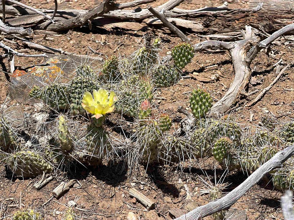 1st image of tbd Off NM 518 Lot 18