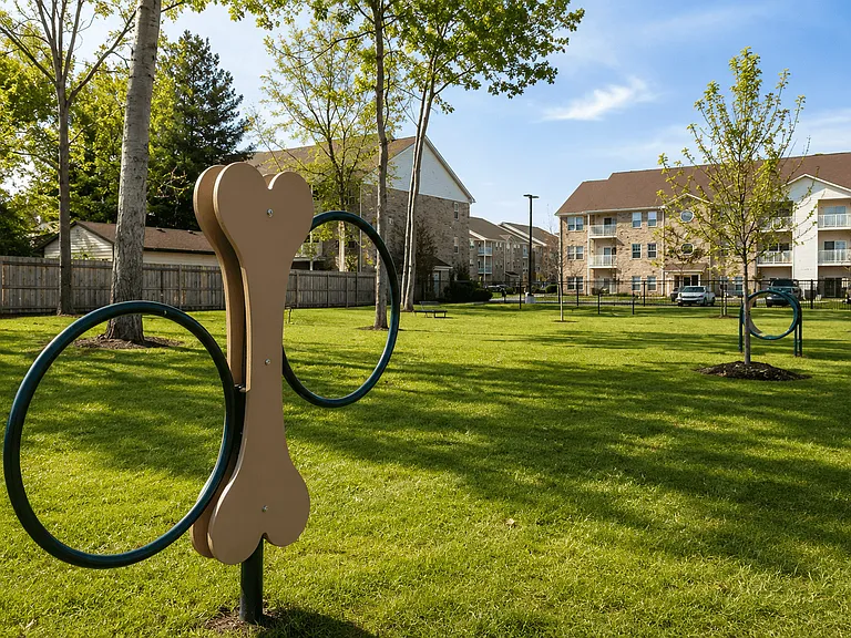 The Court at Sandstone Apartments — Photo 31