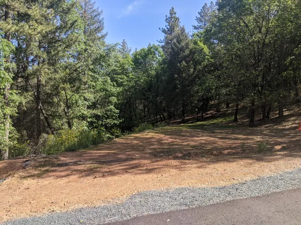 1 Eden Forest Dr, Colfax, CA 95713