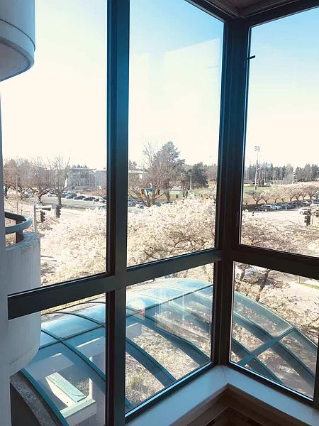 Richmond Apartment for rent - 2 Bedrooms — photo 6