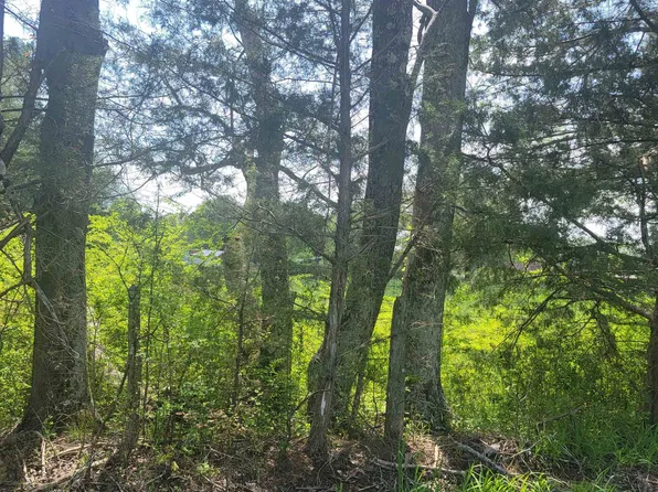 0 Happy Hollow Cir, Sardis, TN 38371