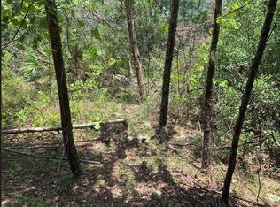 213 Kansas Street, Satsuma, FL 32189