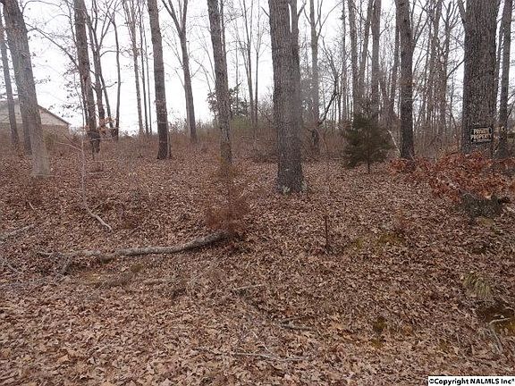 2nd image of 178 Shockley Dr